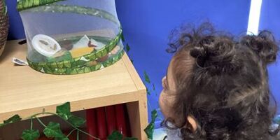 Pre-school Caterpillars and Butterflies